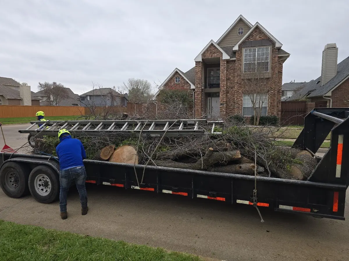 Expert Tree Pest Control with proper safety equipment in Burgoon